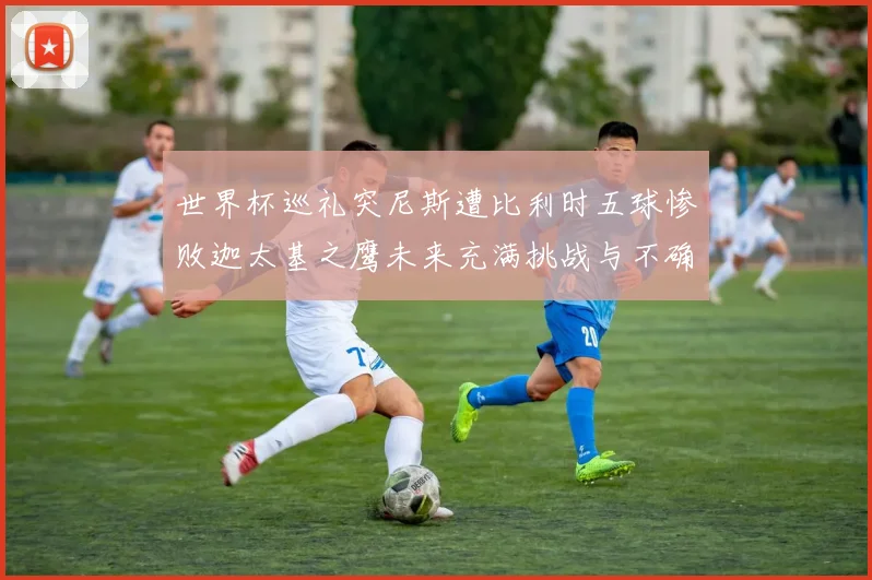 世界杯巡礼突尼斯遭比利时五球惨败迦太基之鹰未来充满挑战与不确定性